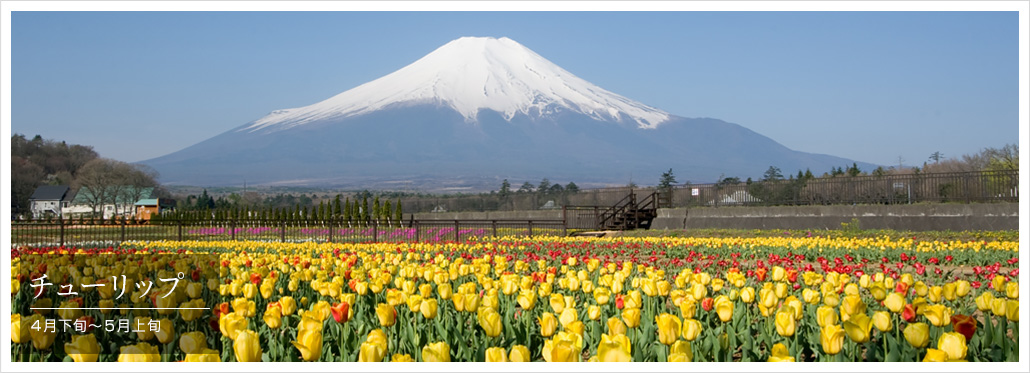 花の都公園
